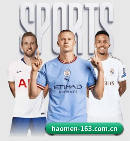 用冷酷数据对抗流量喧嚣(Haomen)